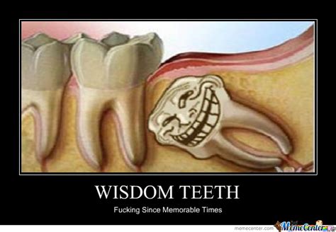 Wisdom Teeth By Meltord Meme Center