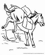 Mule Bucking Honkingdonkey Donkey Designlooter Ridge Saddle sketch template