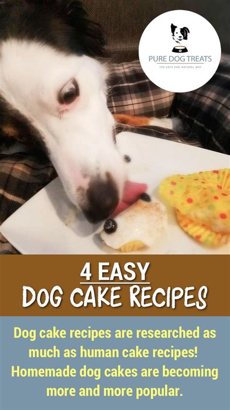 easy dog cake recipes       dog cake recipes
