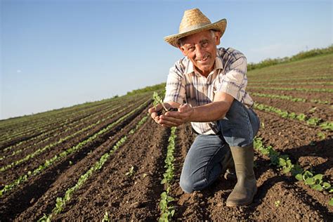 farmer stock  pictures royalty  images istock