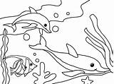 Coloring Ocean Pages Dolphins Kids Printable sketch template