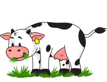 behaviour animal care  cows spca kids education