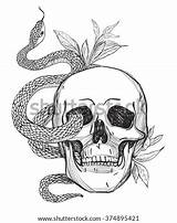 Snake Snakes Skulls Draw sketch template