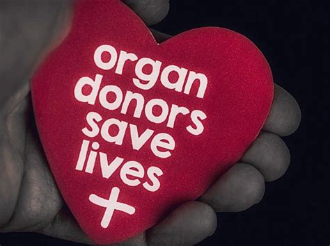become an organ donor today suid kaap forum