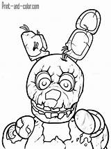 Bonnie Coloring Toy Fnaf Pages Getcolorings Unique sketch template