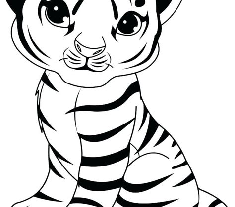 cute tiger drawing    clipartmag