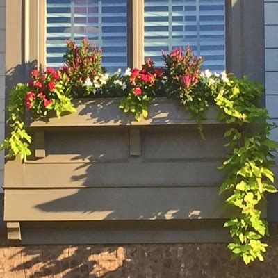 72" Window Boxes (6 foot long window boxes)