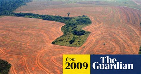 brazil celebrates 45 reduction in amazon deforestation