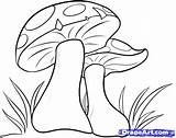 Mushroom Mushrooms Drawing Cartoon Coloring Draw Pages Step Drawings Fungi Simple Magic Para Dibujos Google Color Pencil Kids Dibujar Food sketch template