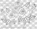 Roses Coloring Rose Pages Adult Color Bud Line Drawing Getdrawings Getcolorings Printable sketch template