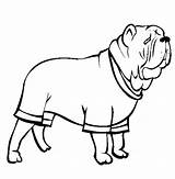 Coloring Mastiff Dog Pug Neapolitan Cup Designlooter Color Colorluna 46kb 612px sketch template