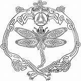 Dragonfly Coloring Pages Celtic Adults Printable Designs Patterns Dragon Animal Books Colouring Adult Zentangle Outline Book Sheet Getcolorings Butterflies Flies sketch template