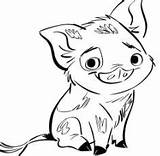Moana Coloring Pua Pages Pig Hei Cute Face Baby Maui Clipartmag Coloringpagesonly sketch template