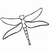 Libelula Colorat Desene Dragonfly Libelulas Libellule Coloring Planse Insecte Trafic Educative Coloriages Libélula sketch template