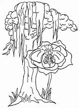 Louisiana Flower Blossom Fragant sketch template