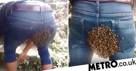 man gets swarm of bees stuck on his bum metro news