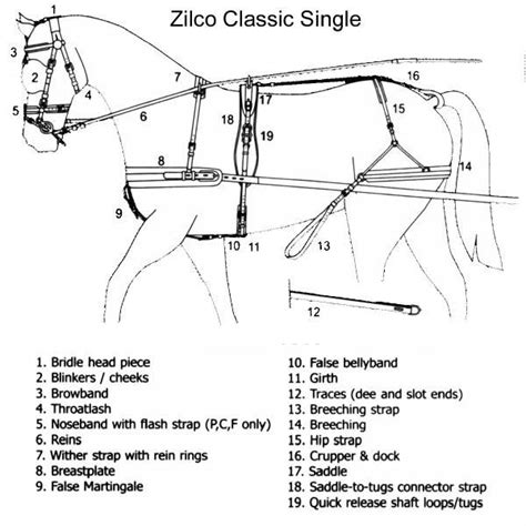 harness diagram horse harness horses horse cart
