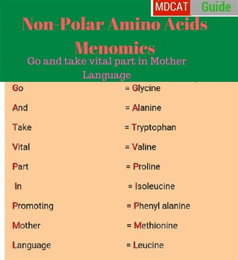 hydrophobic amino acids mnemonic