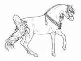 Arabian Lineart Tack Colouring sketch template