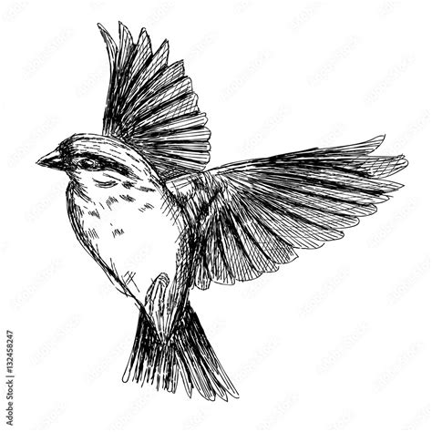 realistic flying bird tattoo