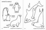 Animals Antarctic Printable Coloring Polar Pages Arctic Firstpalette Animal Templates Printables Color Crafts Artic Seal sketch template