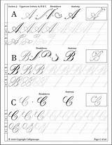 Copperplate Calligraphy Strokes Alphabet Compositions sketch template