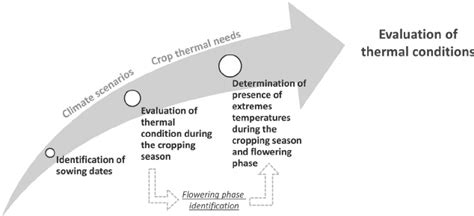 schematic representation   evaluation process  thermal conditions  scientific