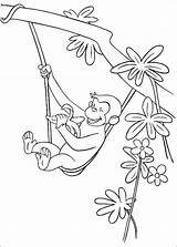 Affe Ausmalbilder Affen Zeichnen Curioso Neugierige Elefant Entertainment Drucken Netart Colorare Ausmalen Decode Wgbh Imagine Färben sketch template