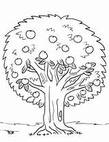 Tree Coloring Apple Pages Drawing Printable Trees Kids sketch template