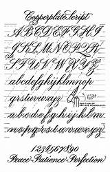 Calligraphy Script Handwriting Copperplate Alphabet Lettering Old Worksheet Styles Letters Font Typography Tutorial Penmanship Visit sketch template