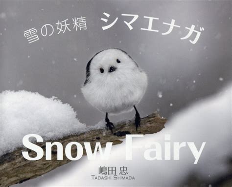楽天ブックス 雪の妖精 シマエナガ Snow Fairy 嶋田忠 9784877772000 本