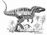 Acrocanthosaurus Dustdevil Deviantart Prehistoric sketch template
