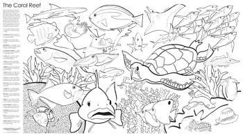 mural images  pinterest coloring books coloring pages