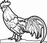 Gallo Rooster Galo Chickens Dibujos Colorear Coloringbay Dibujosonline Colorironline Lindo Máscara Coloringfolder sketch template