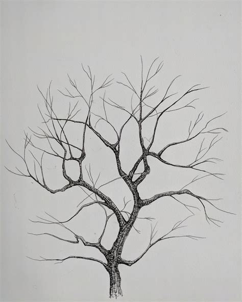 tree drawing  love     leaves  time  year drawing