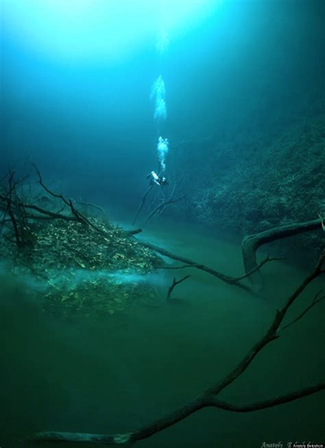 Underwater River Is A Scuba Diver S Dream Cenote Angelita Mexico