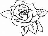 Bunga Mawar Mewarnai Sketsa Mewarnainya Berbagai Mudah Narmadi sketch template