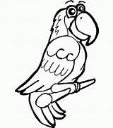 Papagal Colorat Papagali Papagei Desene Planse Macaw Desenat Parrots Malvorlage Einfach Pasari Macaws Educative Designlooter Malvorlagen Trafic Analytics sketch template