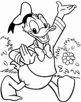 Donald Duck Coloring Pages Disney Character Printables Entertaining Garden sketch template