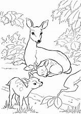Coloring Pages Baby Animals Animal Deer Wild Moms Mom Printable Printouts Forest Farm Kids Family Sheets Coloringbay Books Nature Backyard sketch template