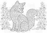 Fuchs Erwachsene Ausdrucken Füchse Lowe Vorlage sketch template