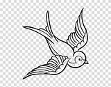 Sparrow Swallow Book sketch template