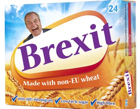 collection   funny brexit memes gallery ebaums world
