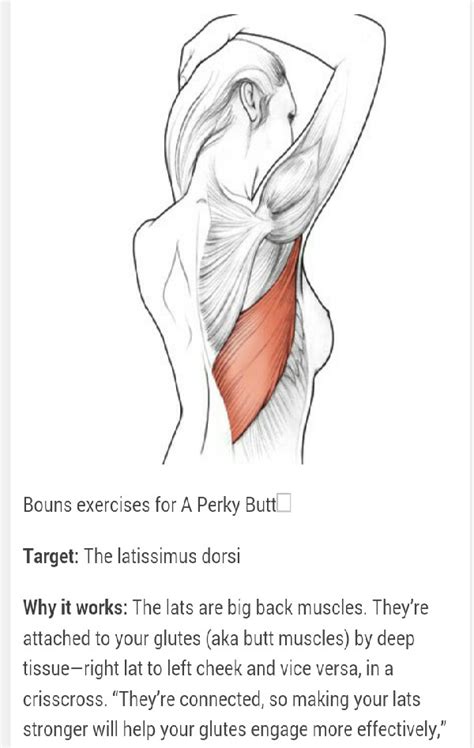 The 3 Best Butt Transformation Exercises For A Round Perky Butt In 4