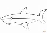 Shark Coloring Cartoon Great Pages Printable Drawing sketch template