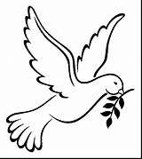 Dove Coloring Peace Pages Bird Mourning Drawing Olive Ballzbeatz Outline Branch Kids Template Printable Color Print Decals Getcolorings Sticker Holy sketch template