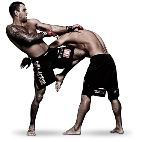 mixed martial arts fight png pic png arts