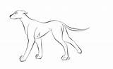 Greyhound Lineart sketch template