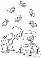 Curious Coloring Monkey sketch template