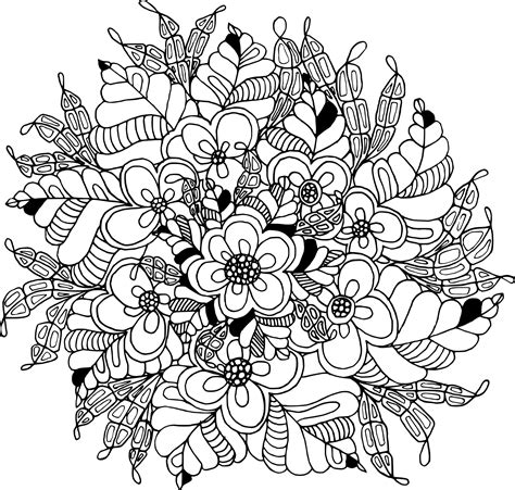 nice photograph coloring pages  paint program  printable